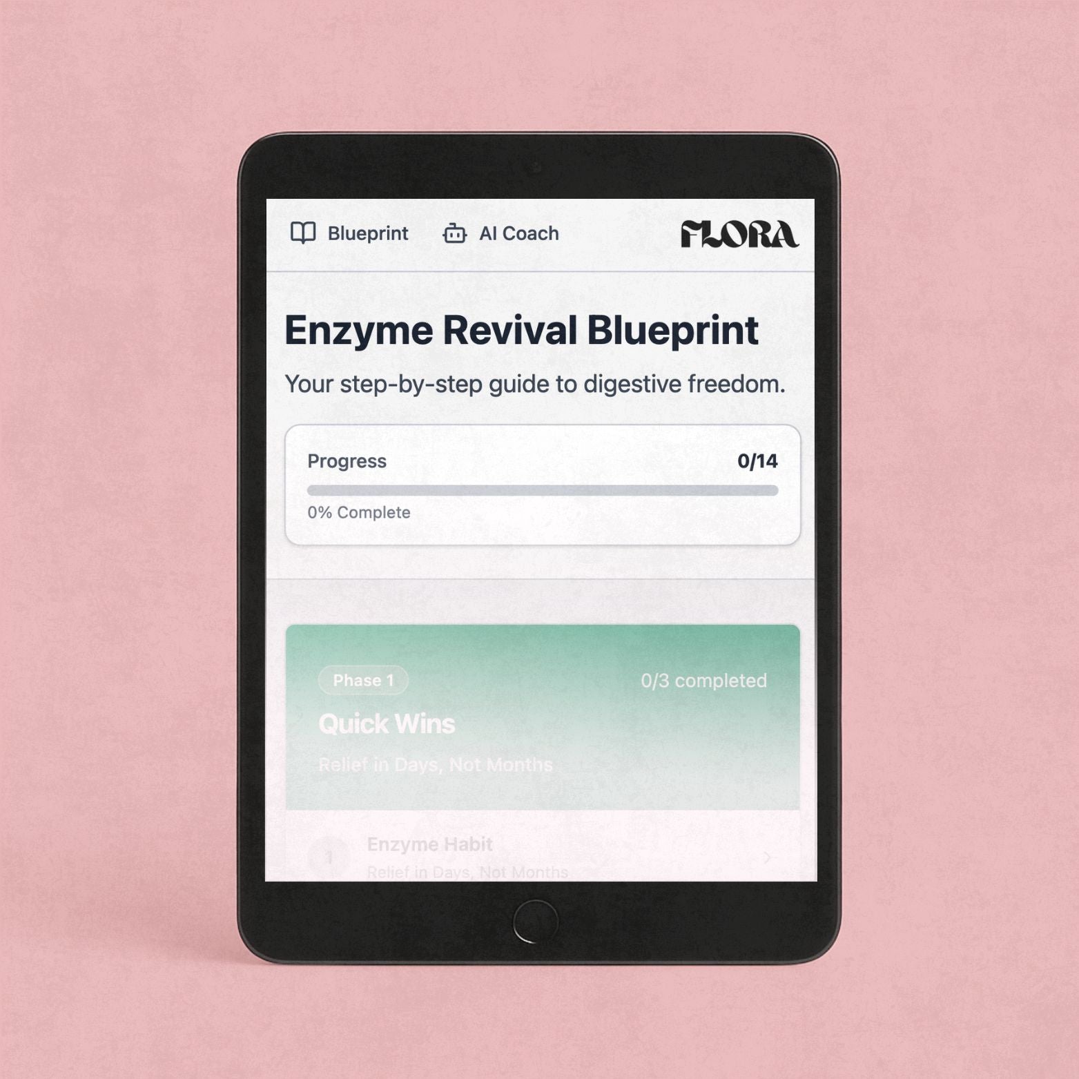 The Enzyme Revival Blueprint
